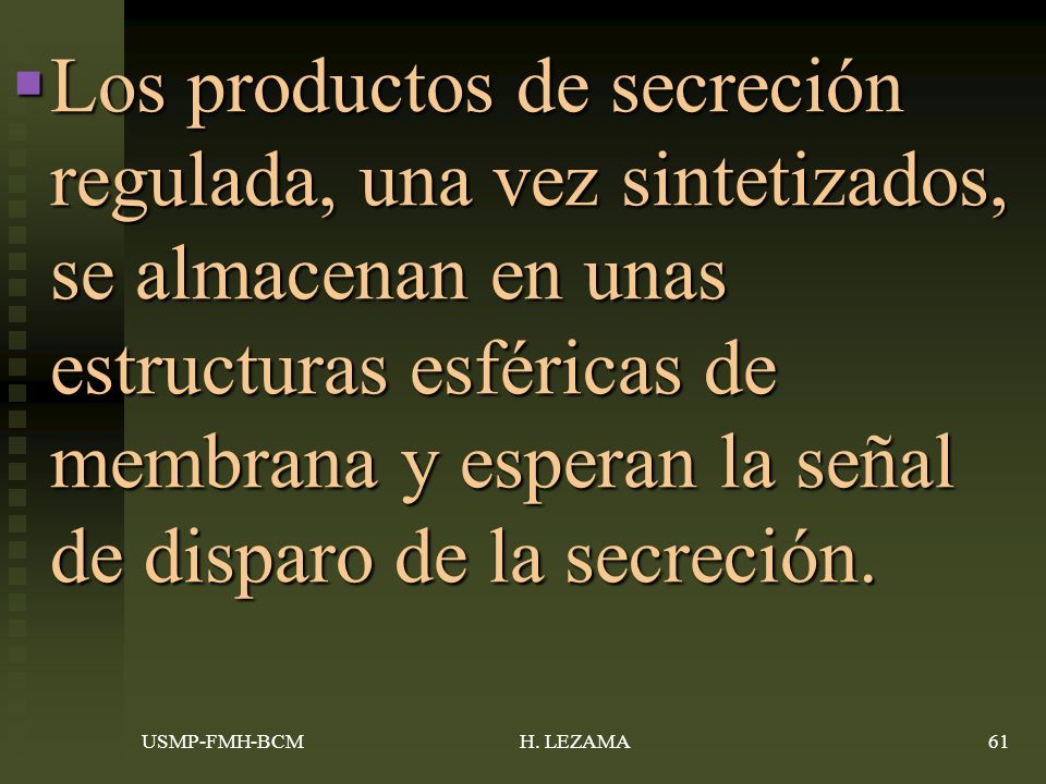 Los productos de secreción regulada, una vez sintetizados, se almacenan en unas estructuras esféricas de membrana y esperan la señal de disparo de la secreción.