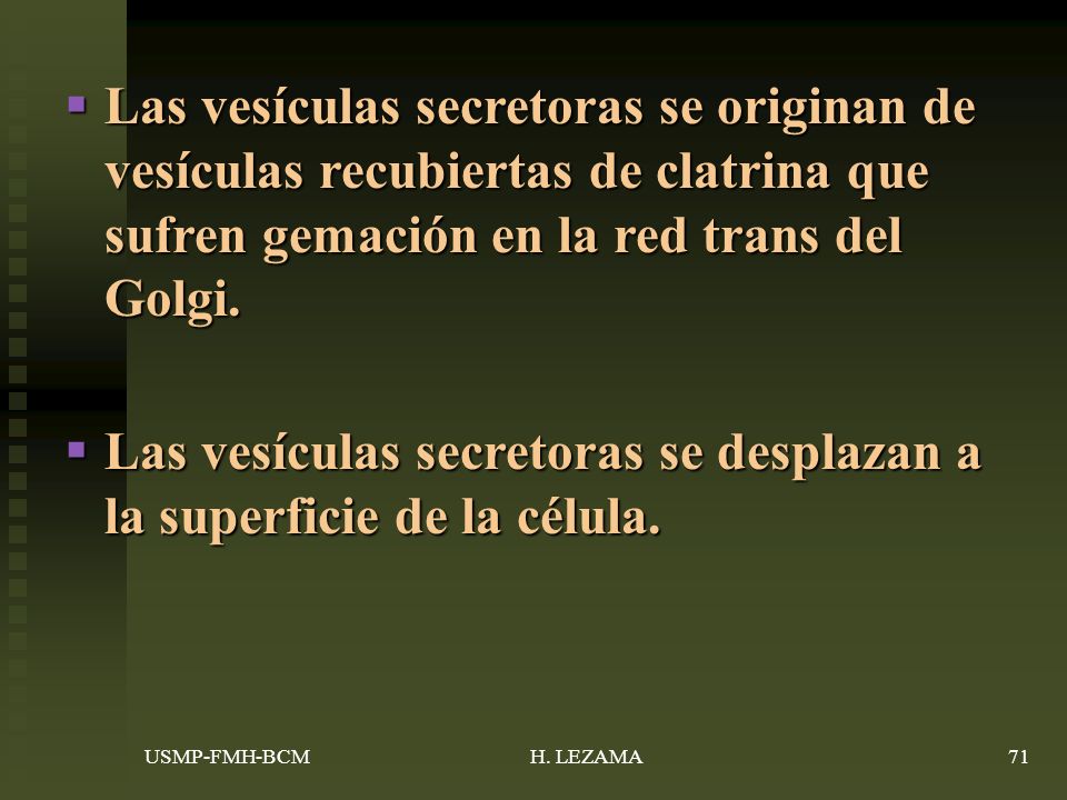 Las vesículas secretoras se desplazan a la superficie de la célula.
