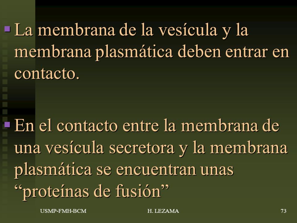La membrana de la vesícula y la membrana plasmática deben entrar en contacto.