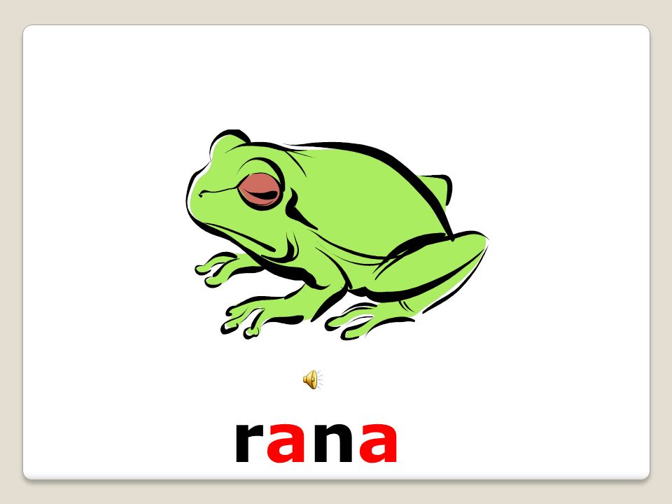 rana
