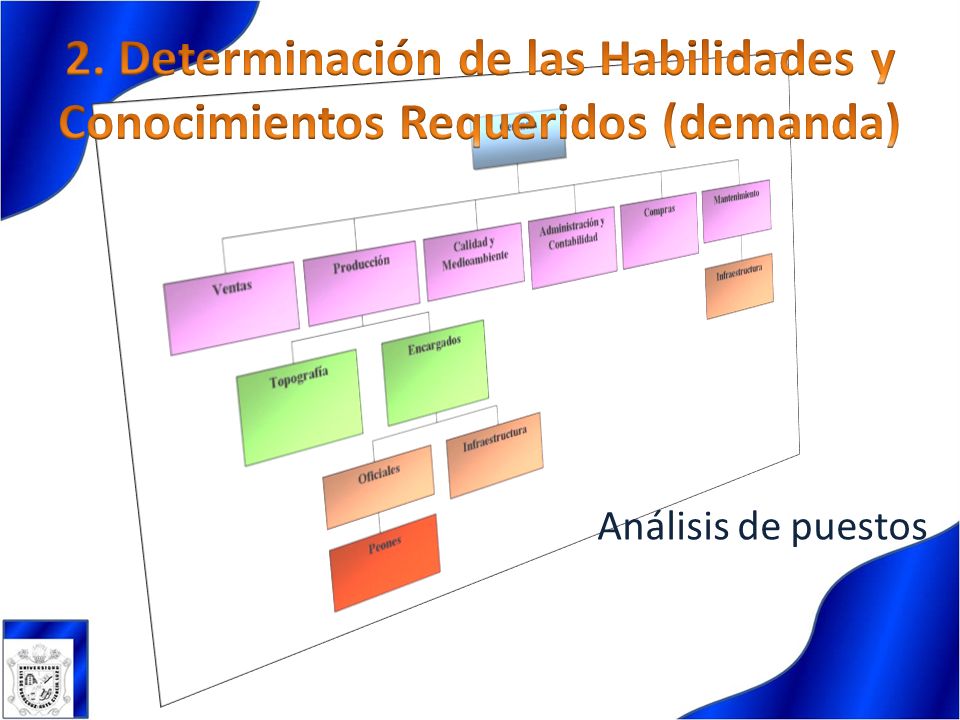 2. Determinación de las Habilidades y Conocimientos Requeridos (demanda)