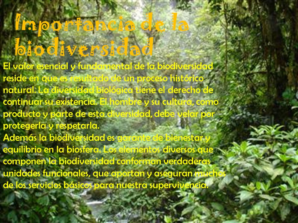 Importancia de la biodiversidad