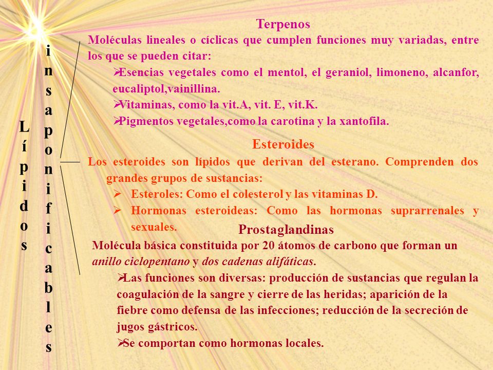 i n s a p o L f í p c i d b o l s e Terpenos Esteroides