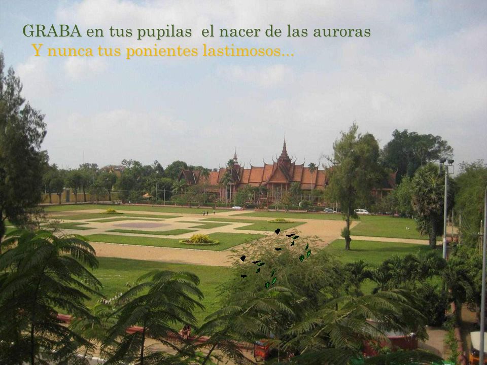 GRABA en tus pupilas el nacer de las auroras