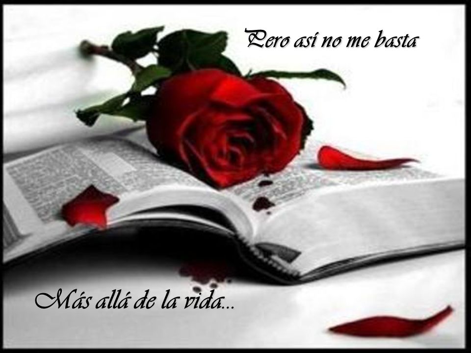 Pero así no me basta Más allá de la vida…