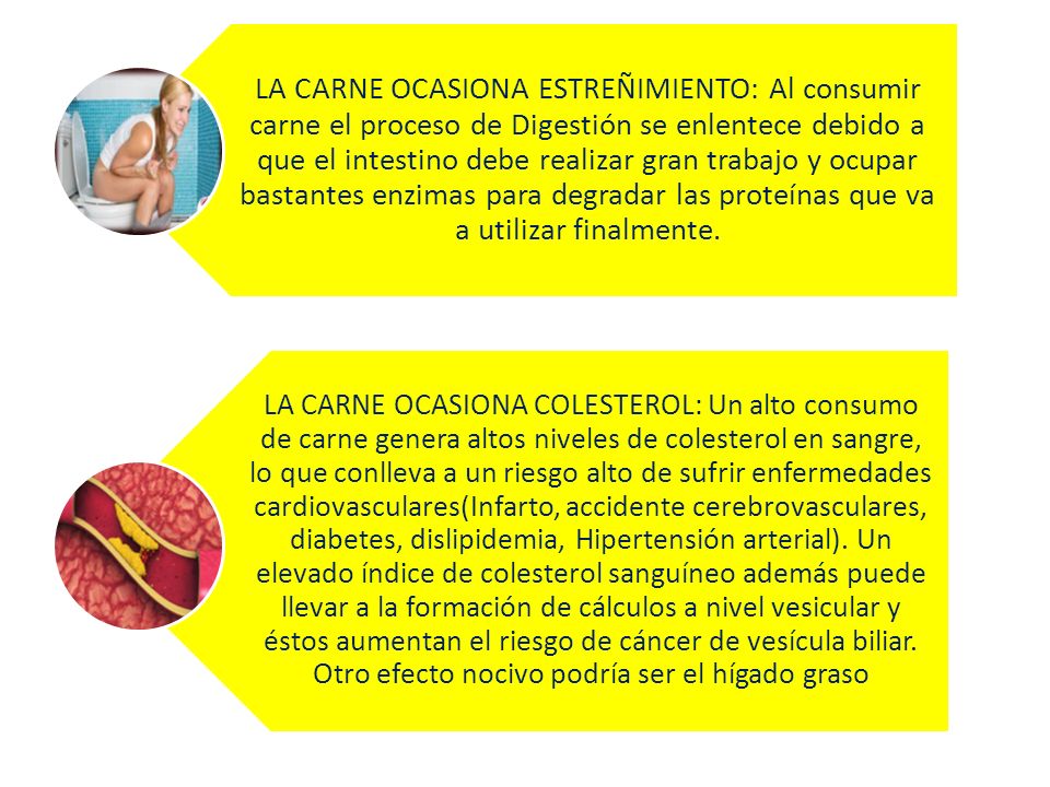 LA CARNE OCASIONA ESTREÑIMIENTO: Al consumir carne el proceso de Digestión se enlentece debido a que el intestino debe realizar gran trabajo y ocupar bastantes enzimas para degradar las proteínas que va a utilizar finalmente.