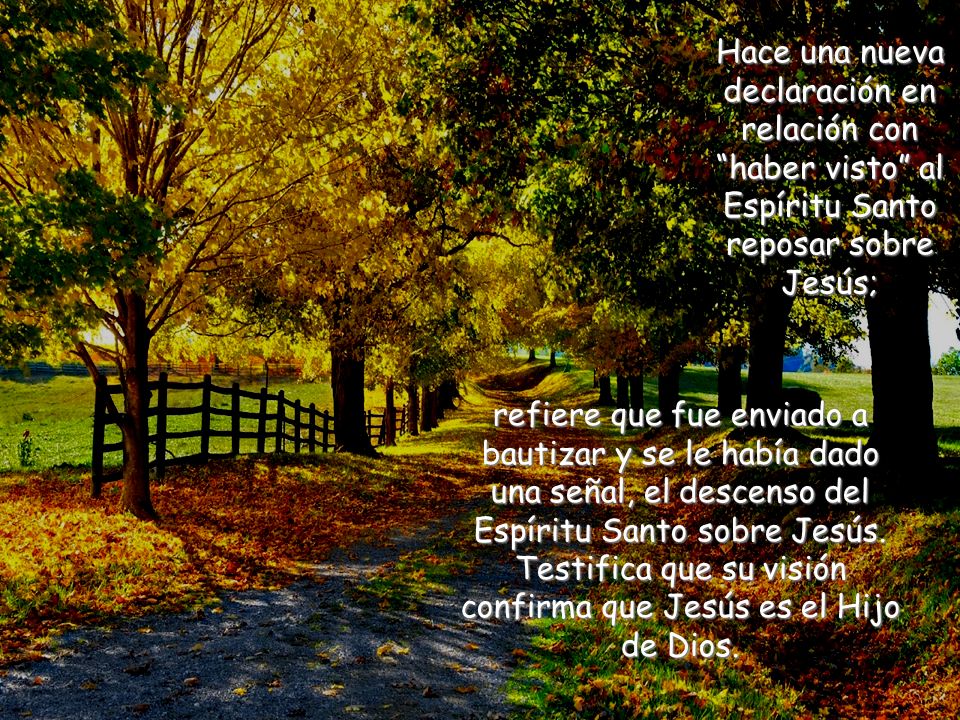 Hace una nueva declaración en relación con haber visto al Espíritu Santo reposar sobre Jesús;
