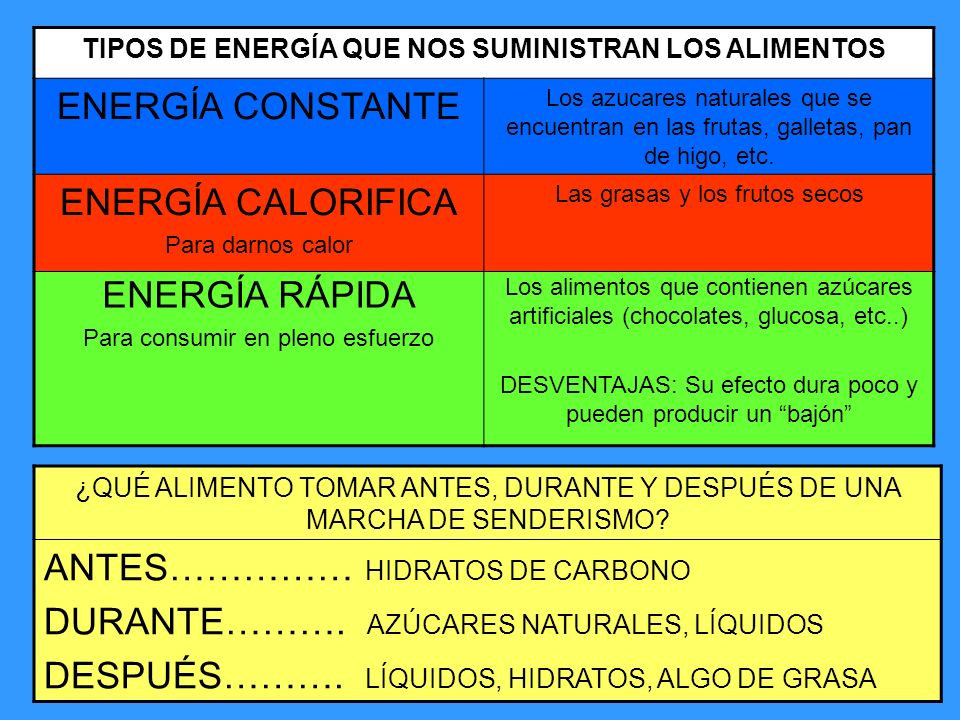 TIPOS DE ENERGÍA QUE NOS SUMINISTRAN LOS ALIMENTOS