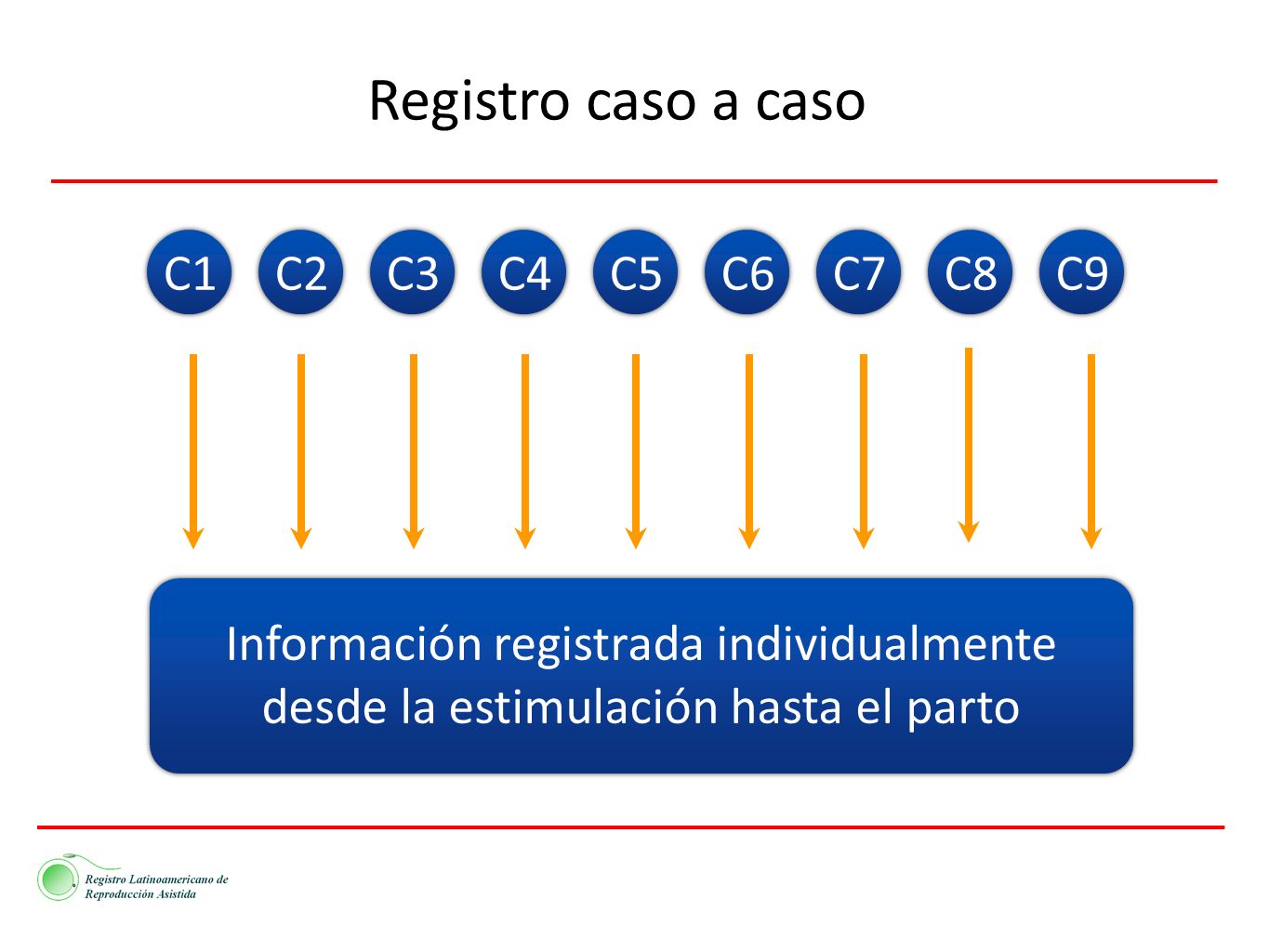 Registro caso a caso C1 C2 C3 C4 C5 C6 C7 C8 C9