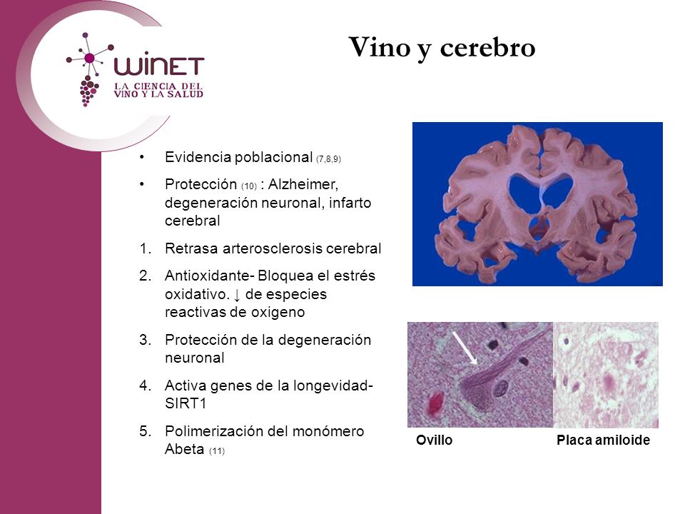 Vino y cerebro Placa amiloide Evidencia poblacional (7,8,9)