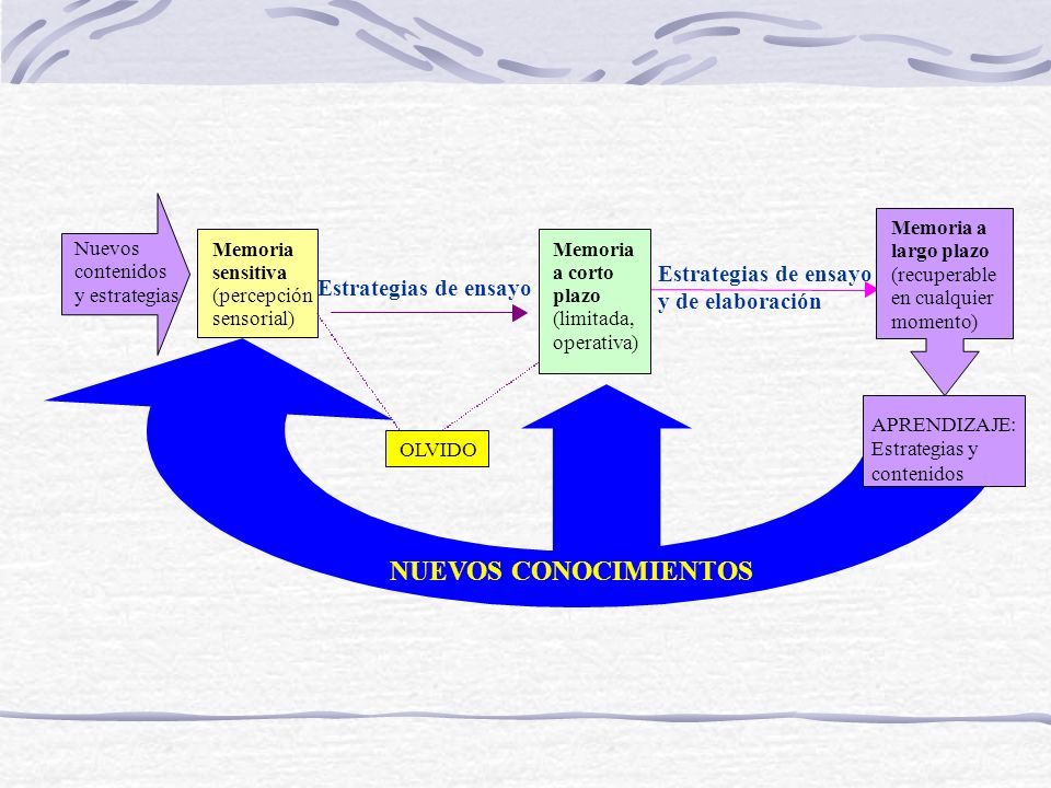NUEVOS CONOCIMIENTOS Estrategias de ensayo y de elaboración Memoria