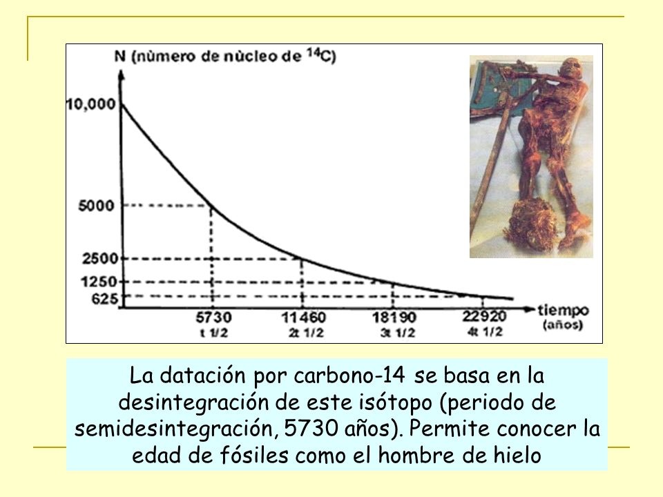 La datación por carbono-14 se basa en la desintegración de este isótopo (periodo de semidesintegración, 5730 años).