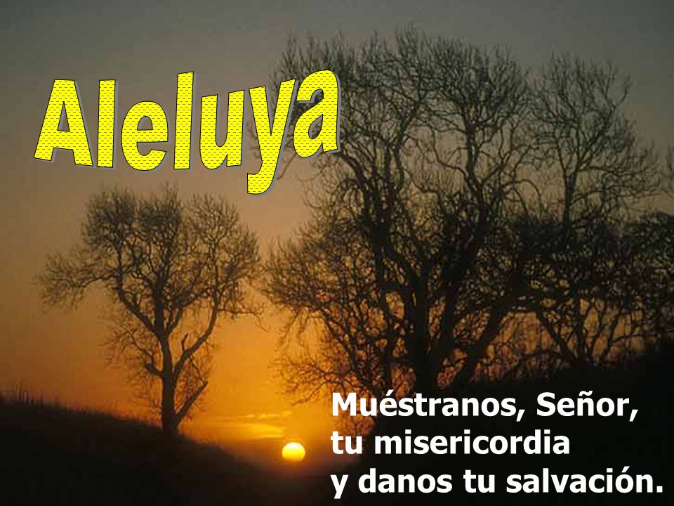 Aleluya Muéstranos, Señor, tu misericordia y danos tu salvación.