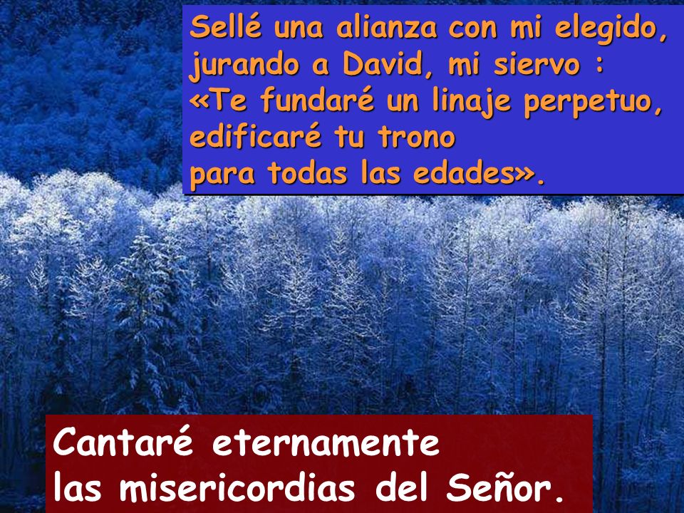 Cantaré eternamente las misericordias del Señor.
