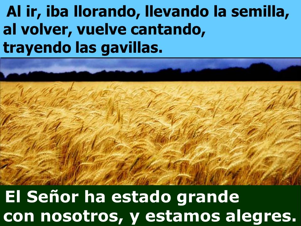 Al ir, iba llorando, llevando la semilla, al volver, vuelve cantando, trayendo las gavillas.