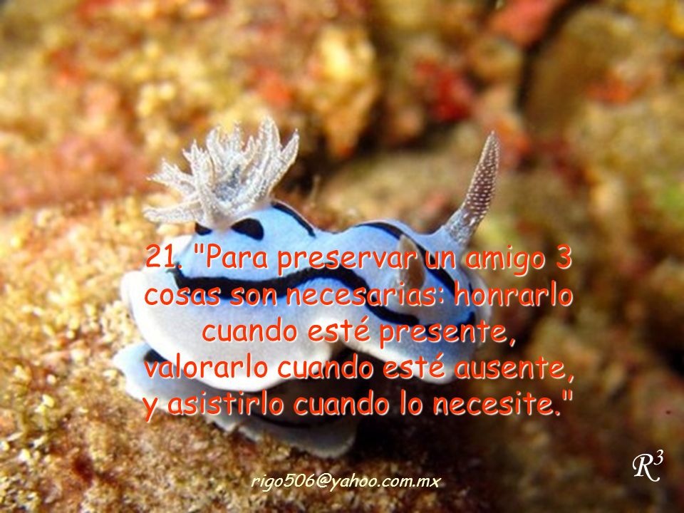 21. Para preservar un amigo 3 cosas son necesarias: honrarlo cuando esté presente, valorarlo cuando esté ausente, y asistirlo cuando lo necesite.
