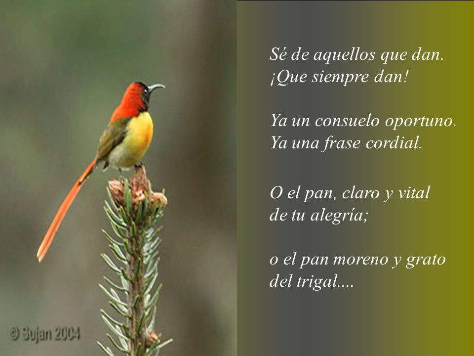Sé de aquellos que dan. ¡Que siempre dan! Ya un consuelo oportuno. Ya una frase cordial. O el pan, claro y vital.