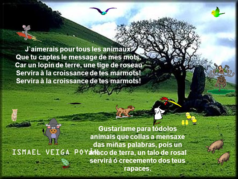 J`aimerais pour tous les animaux. Que tu captes le message de mes mots