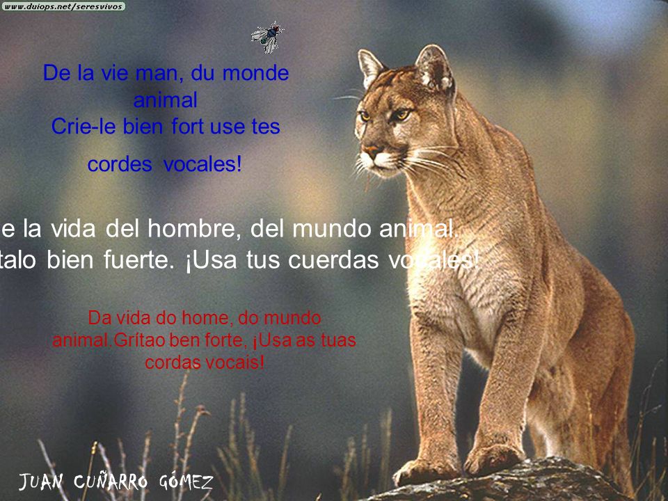 De la vie man, du monde animal Crie-le bien fort use tes cordes vocales!