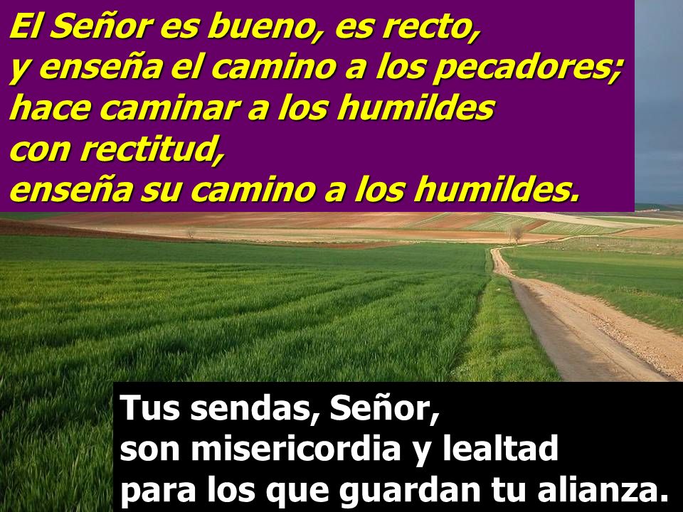 El Señor es bueno, es recto, y enseña el camino a los pecadores; hace caminar a los humildes con rectitud, enseña su camino a los humildes.