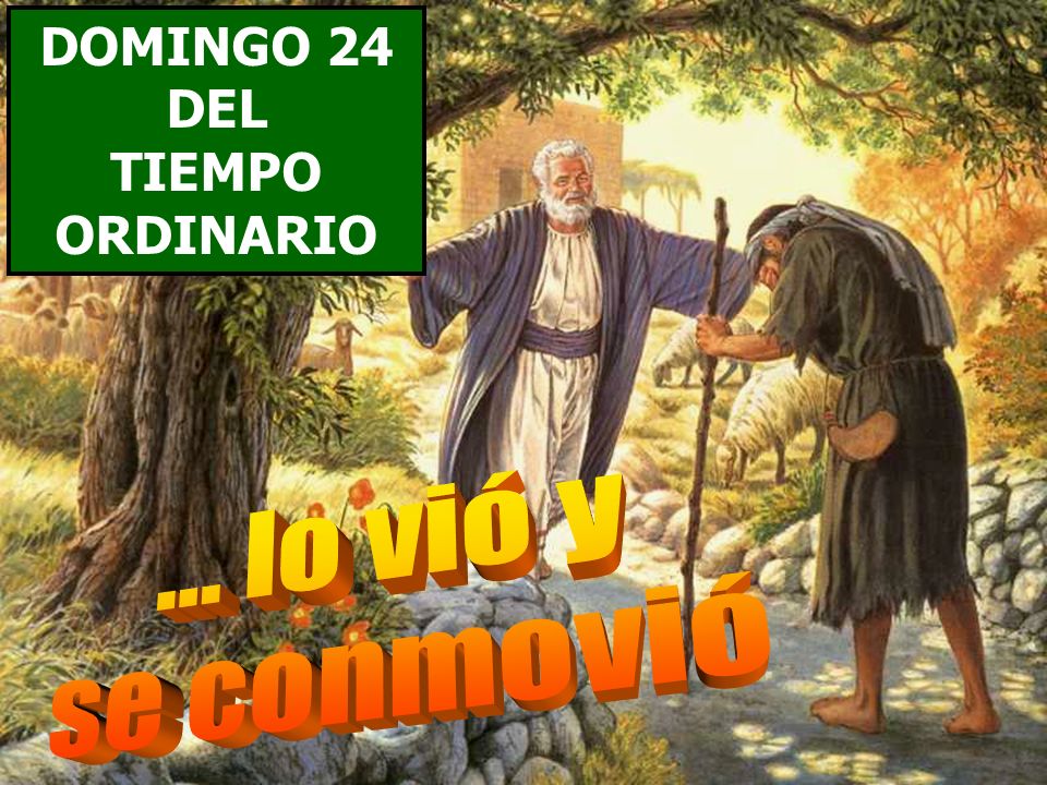DOMINGO 24 DEL TIEMPO ORDINARIO ... lo vió y se conmovió