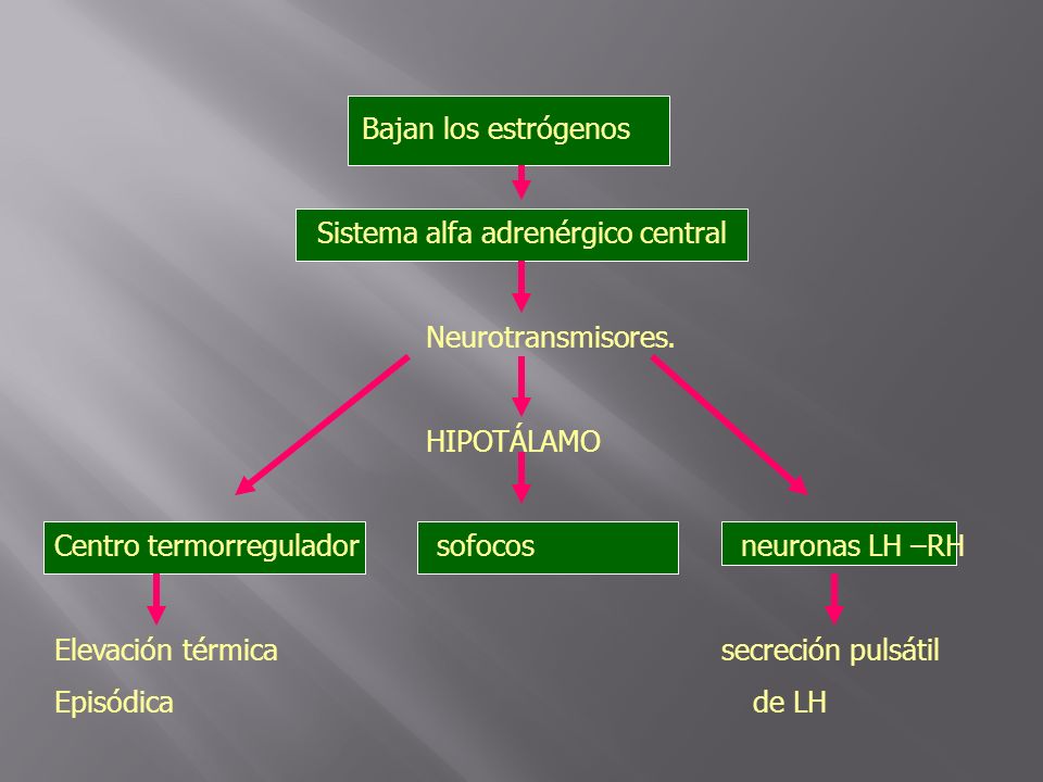 Bajan los estrógenos Sistema alfa adrenérgico central. Neurotransmisores. HIPOTÁLAMO.