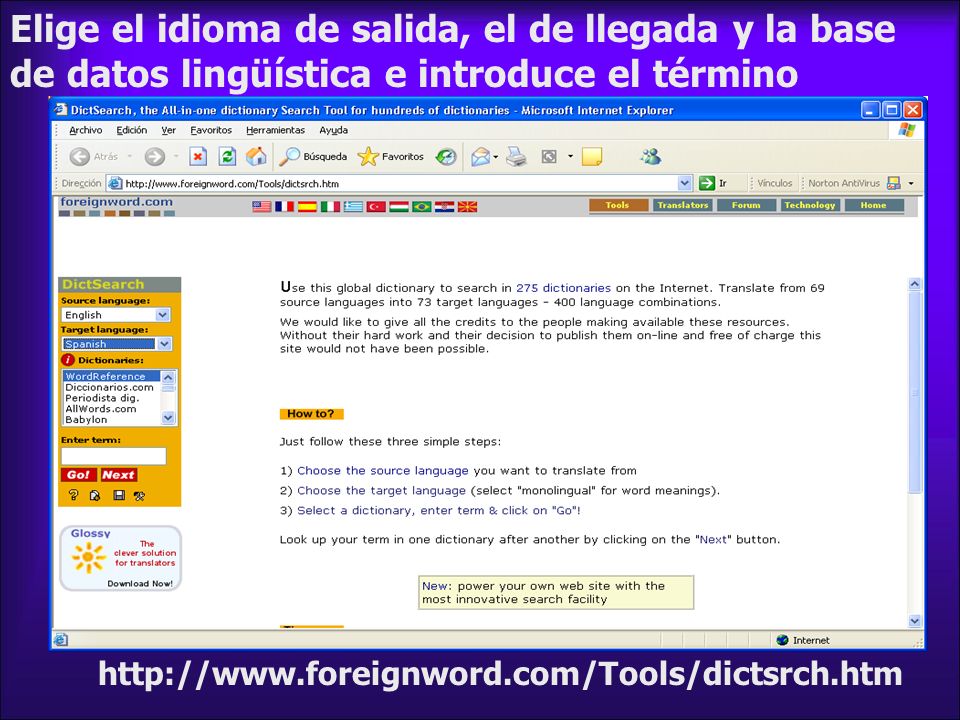 Elige el idioma de salida, el de llegada y la base de datos lingüística e introduce el término