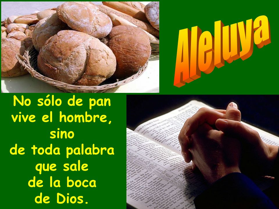 Aleluya No sólo de pan vive el hombre, sino de toda palabra que sale de la boca de Dios.