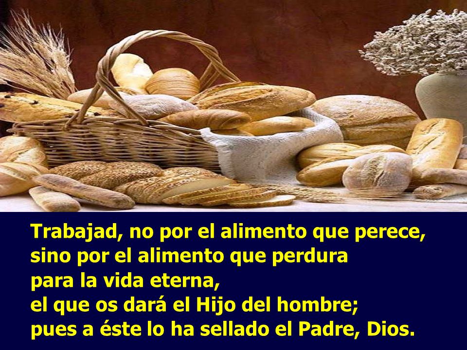 Trabajad, no por el alimento que perece, sino por el alimento que perdura para la vida eterna, el que os dará el Hijo del hombre; pues a éste lo ha sellado el Padre, Dios.