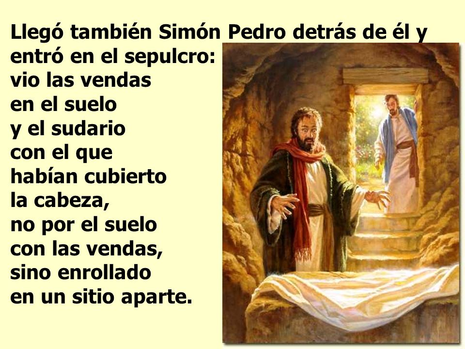 Llegó también Simón Pedro detrás de él y entró en el sepulcro: