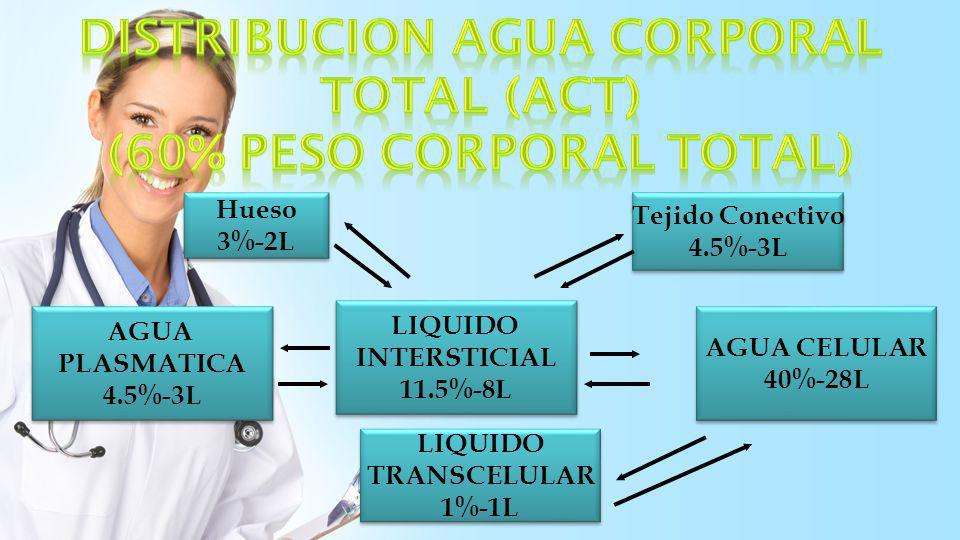 DISTRIBUCION AGUA CORPORAL TOTAL (ACT) (60% peso corporal total)