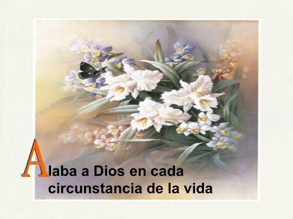 A laba a Dios en cada circunstancia de la vida