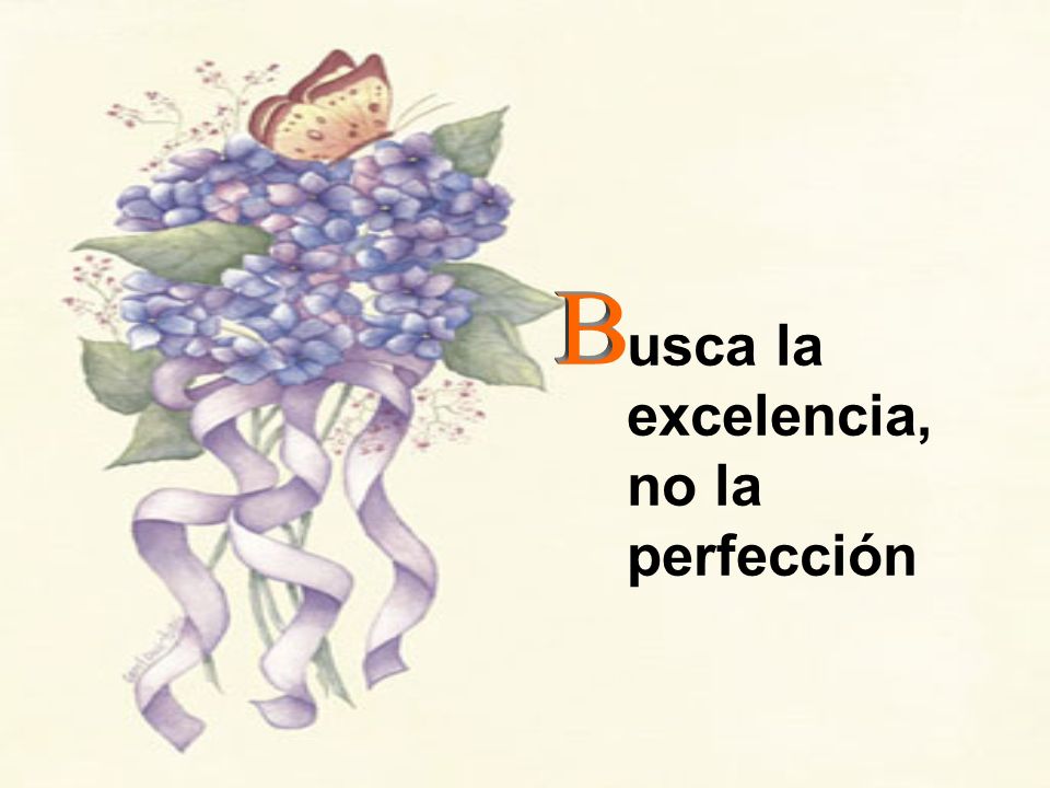 usca la excelencia, no la perfección