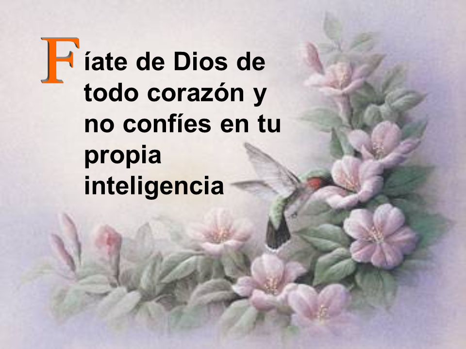 íate de Dios de todo corazón y no confíes en tu propia inteligencia