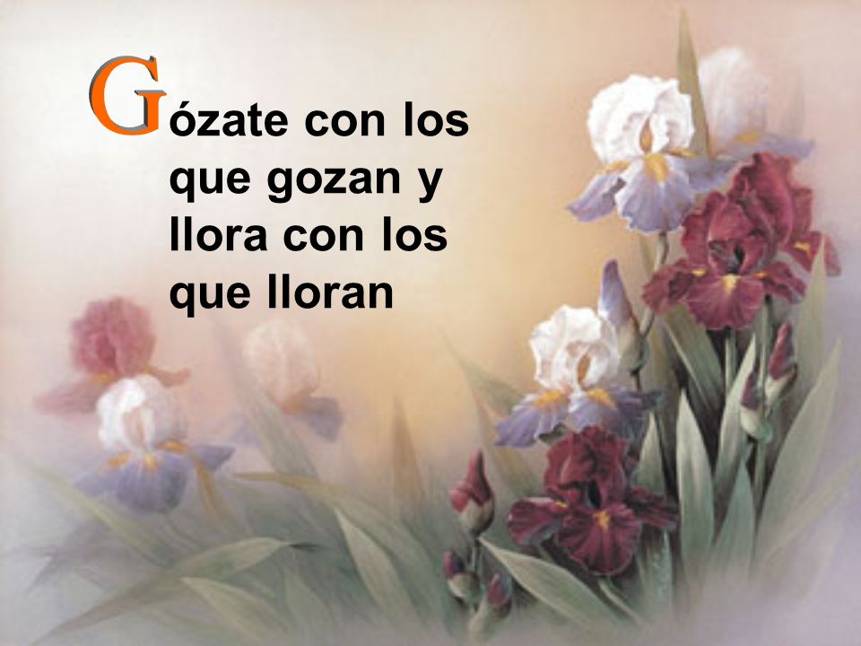 ózate con los que gozan y llora con los que lloran