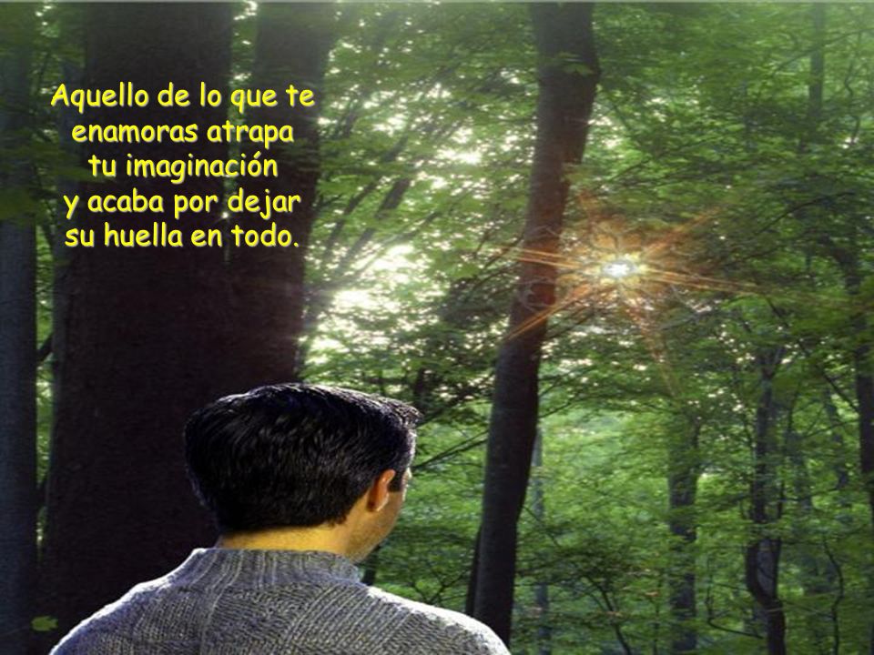 Aquello de lo que te enamoras atrapa tu imaginación y acaba por dejar su huella en todo.