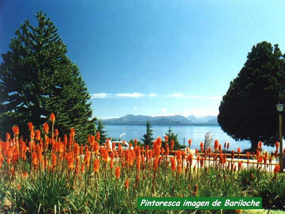Pintoresca imagen de Bariloche