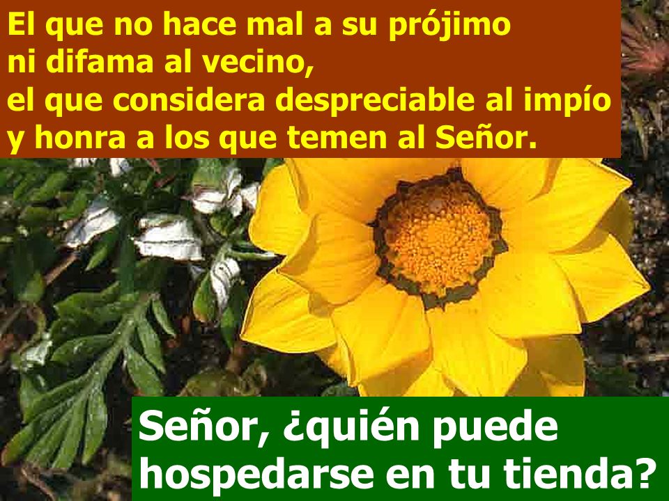 Señor, ¿quién puede hospedarse en tu tienda