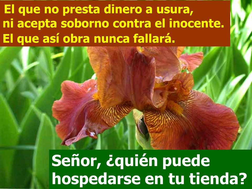 Señor, ¿quién puede hospedarse en tu tienda