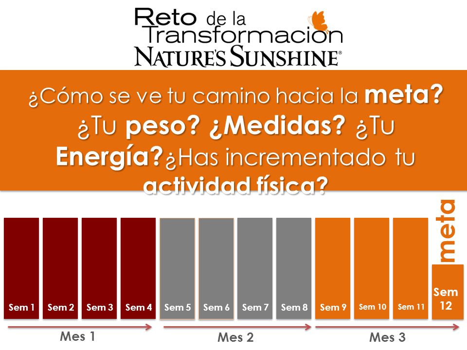 ¿Tu peso ¿Medidas ¿Tu Energía ¿Has incrementado tu actividad física