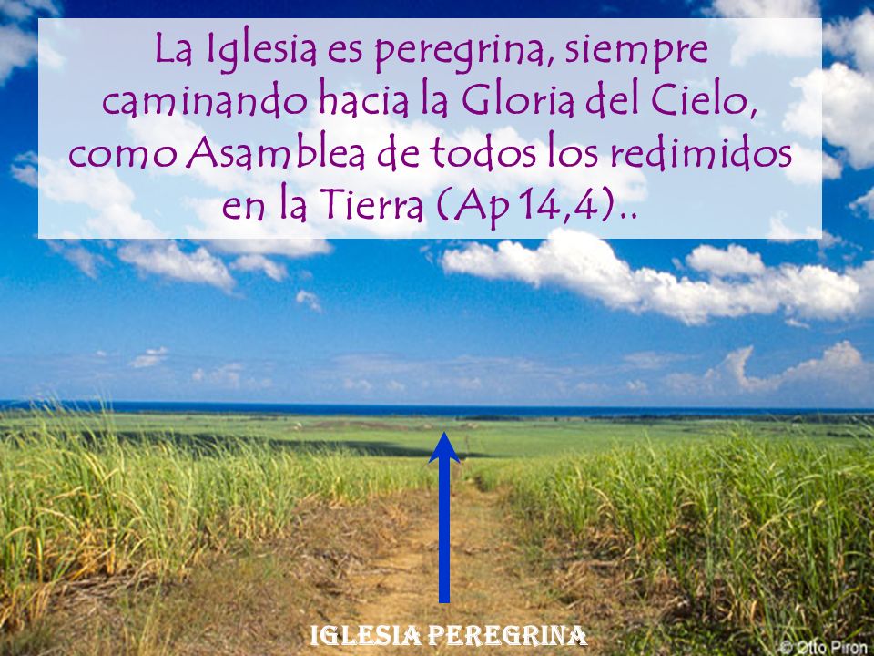 La Iglesia es peregrina, siempre caminando hacia la Gloria del Cielo, como Asamblea de todos los redimidos en la Tierra (Ap 14,4)..