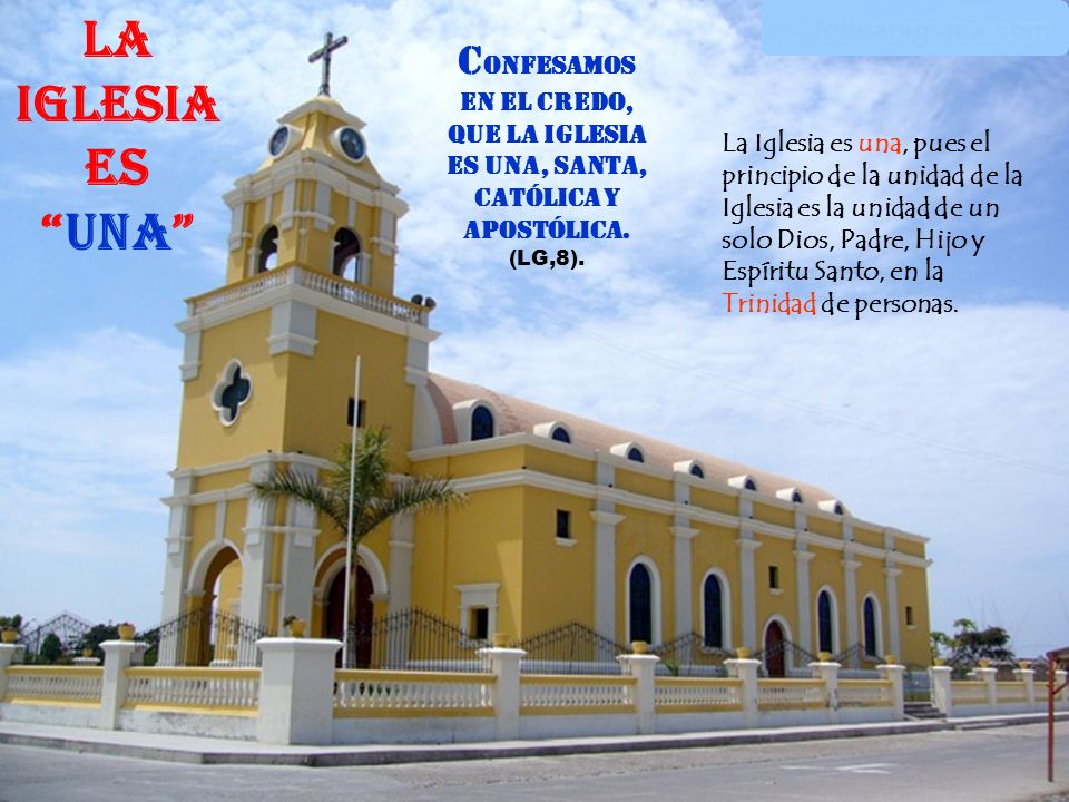 La Iglesia es una Confesamos en el Credo, que la Iglesia es una, Santa, Católica y Apostólica. (LG,8).