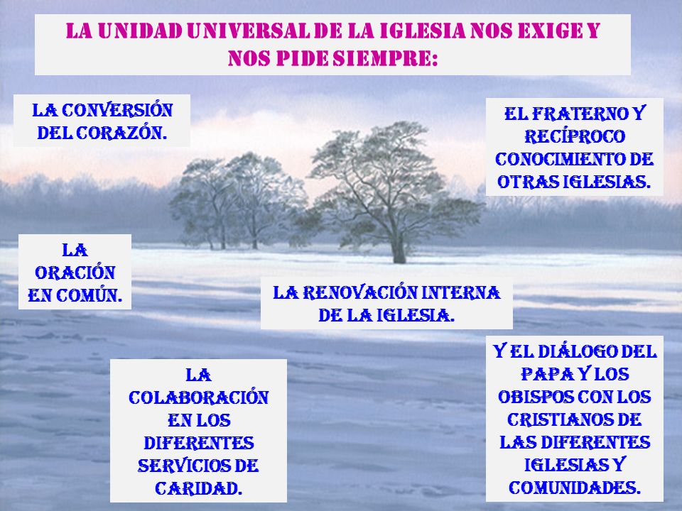 La Unidad Universal de la Iglesia nos exige y nos pide siempre: