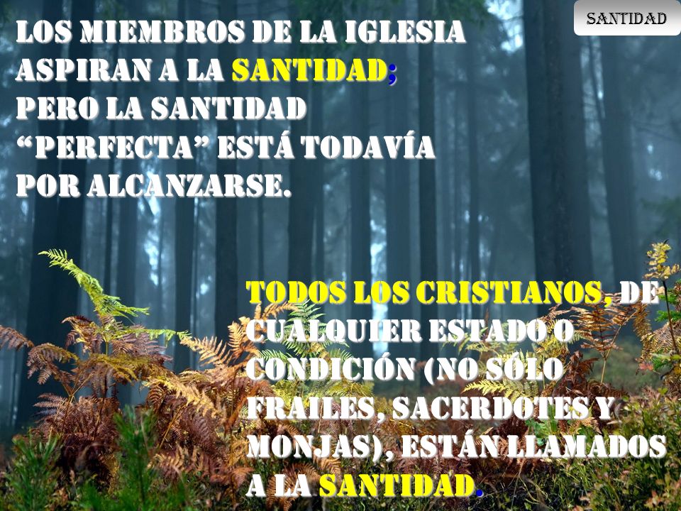 SANTIDAD Los Miembros de la Iglesia aspiran a la Santidad; pero la Santidad perfecta está todavía por alcanzarse.