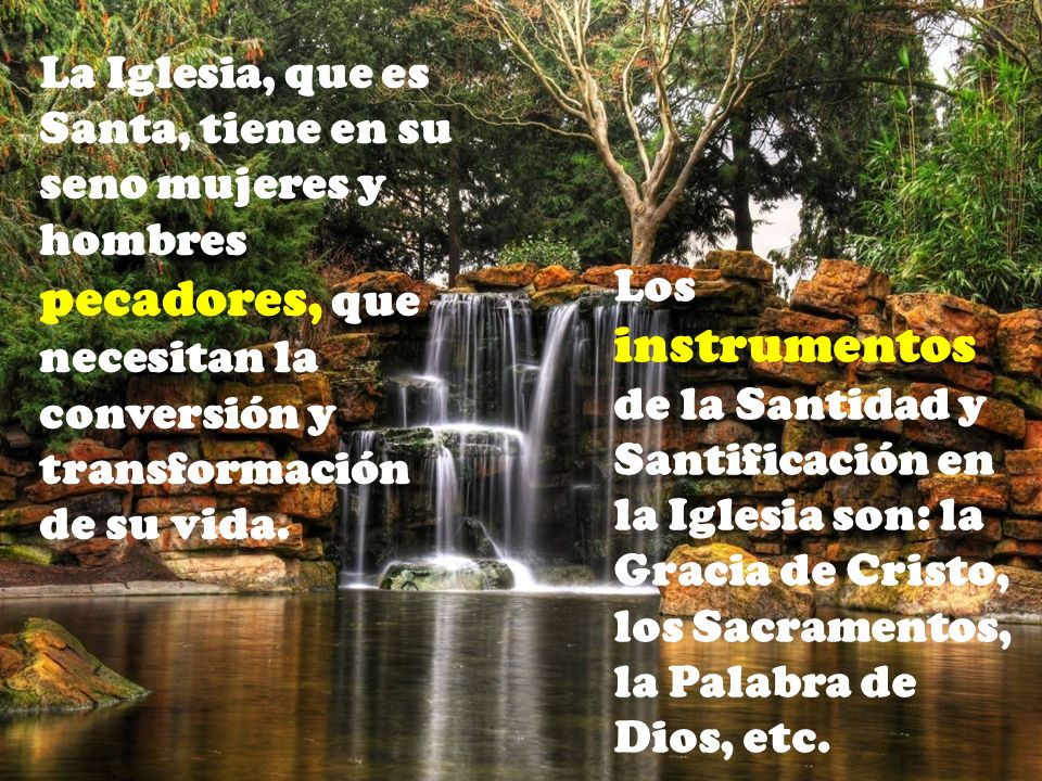 La Iglesia, que es Santa, tiene en su seno mujeres y hombres pecadores, que necesitan la conversión y transformación de su vida.