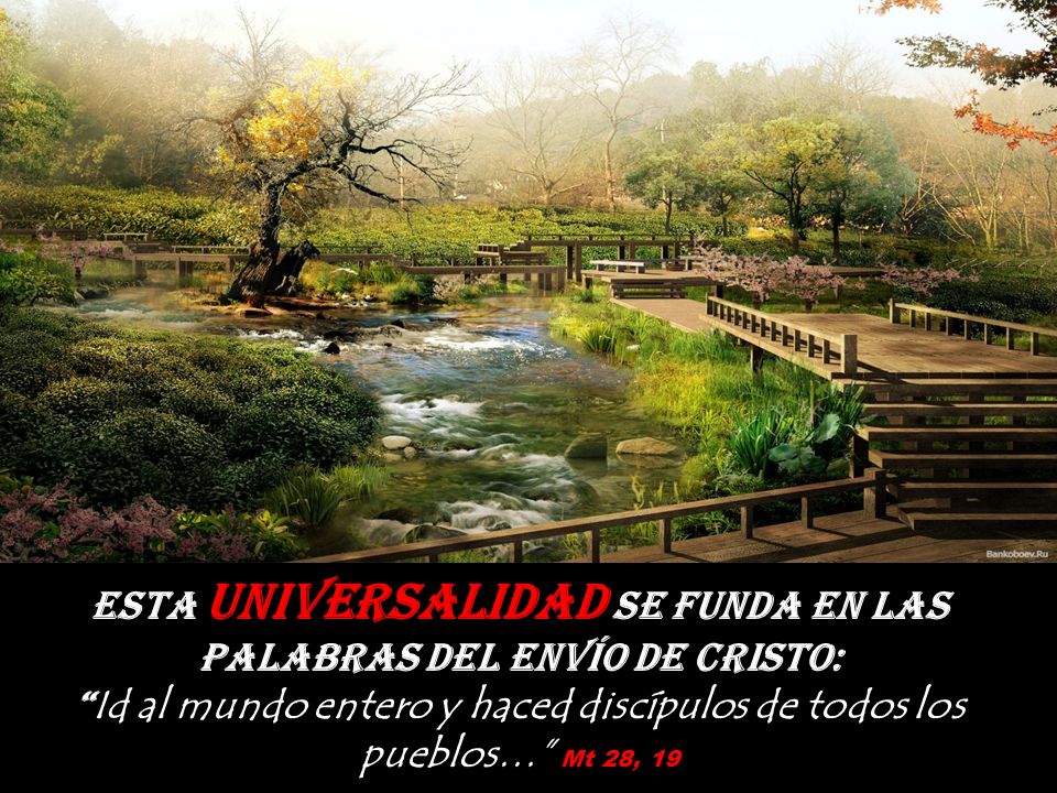 Esta universalidad se funda en las palabras del envío de Cristo: