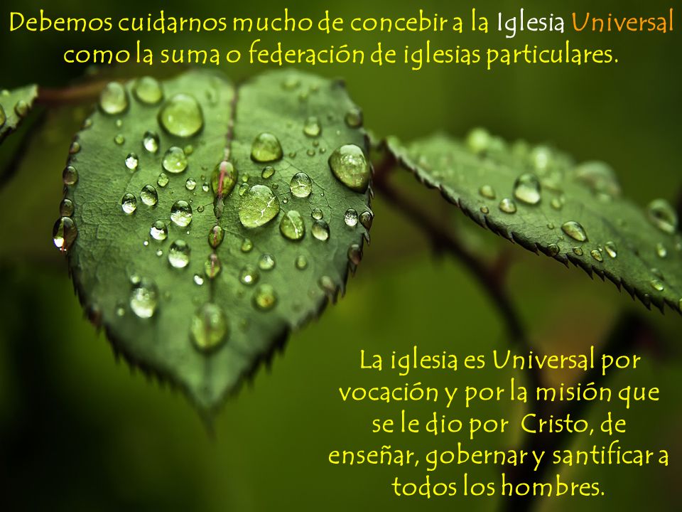 Debemos cuidarnos mucho de concebir a la Iglesia Universal como la suma o federación de iglesias particulares.