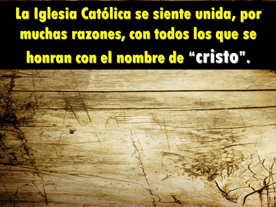 La Iglesia Católica se siente unida, por muchas razones, con todos los que se honran con el nombre de cristo .