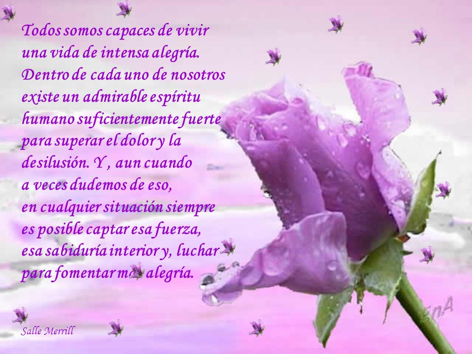 Todos somos capaces de vivir una vida de intensa alegría