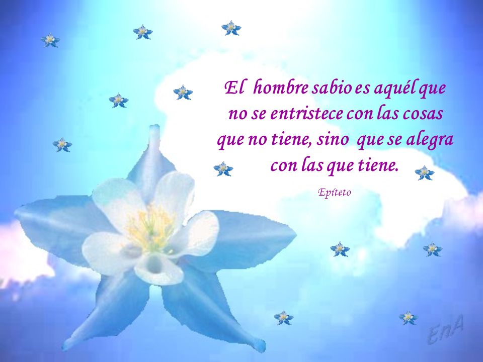 El hombre sabio es aquél que no se entristece con las cosas que no tiene, sino que se alegra con las que tiene.